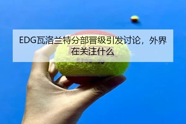 EDG瓦洛兰特分部晋级引发讨论，外界在关注什么